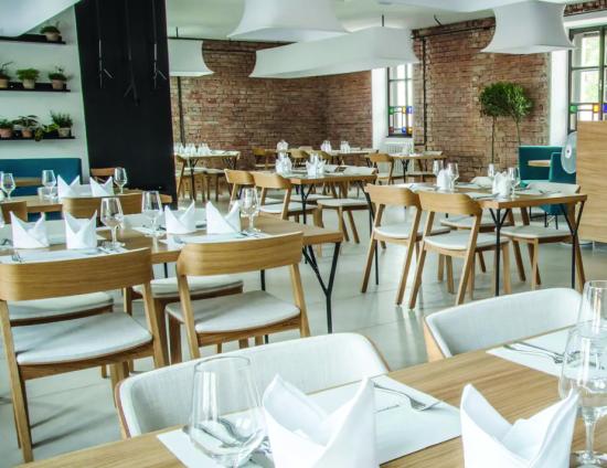 Merano Chair - Natural Oak - White Pad - by TON