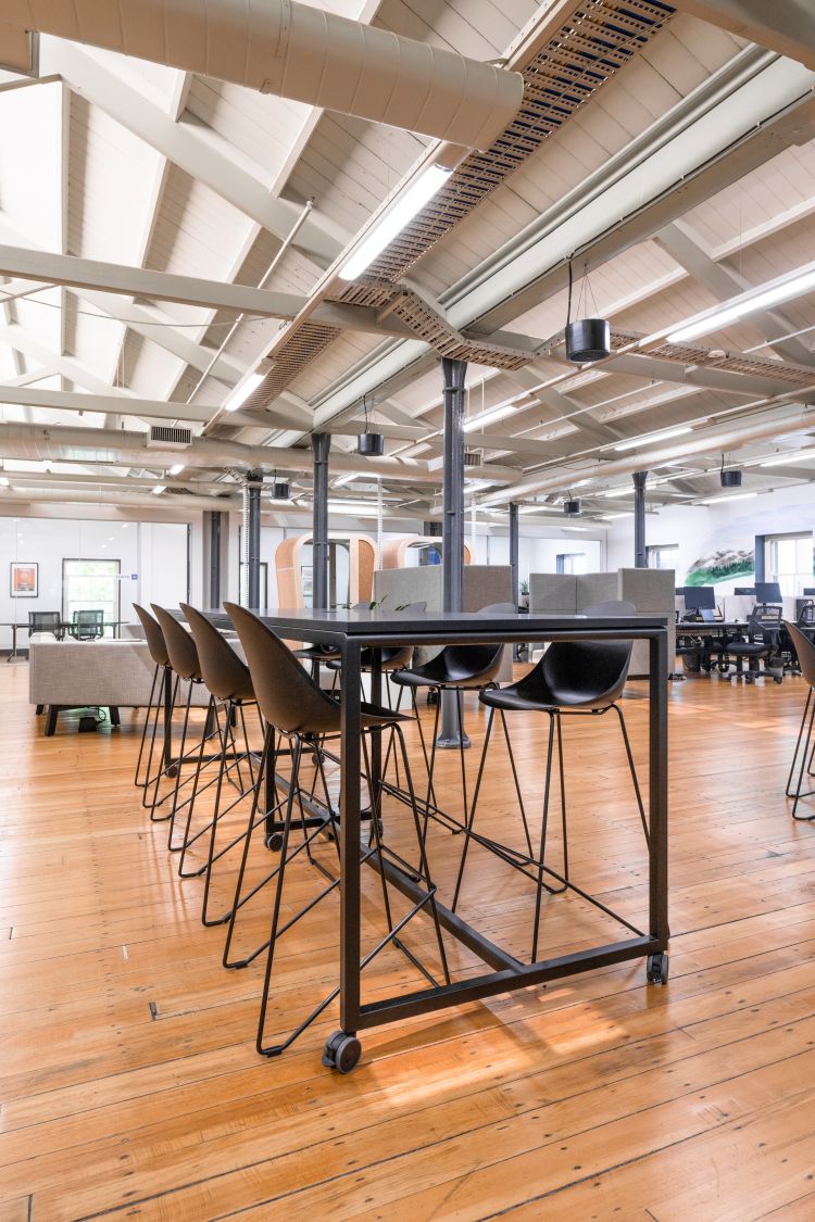 Project - Lucid Software