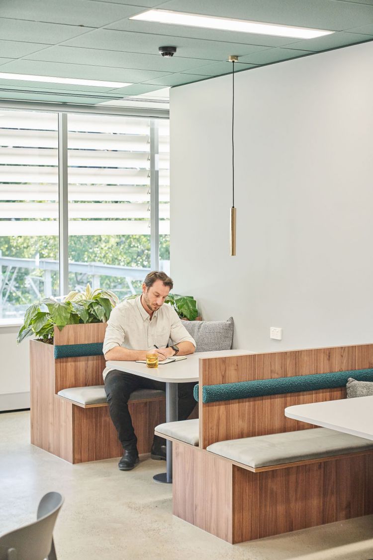 A modern office booth with plants, a cushioned seat, and pendant lighting