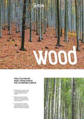 : Merano Chair - Natural Oak - Veneer Seat - by TON